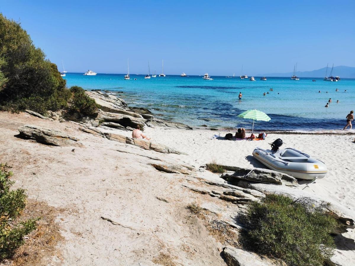 Farfalla Calvi  Exteriér fotografie