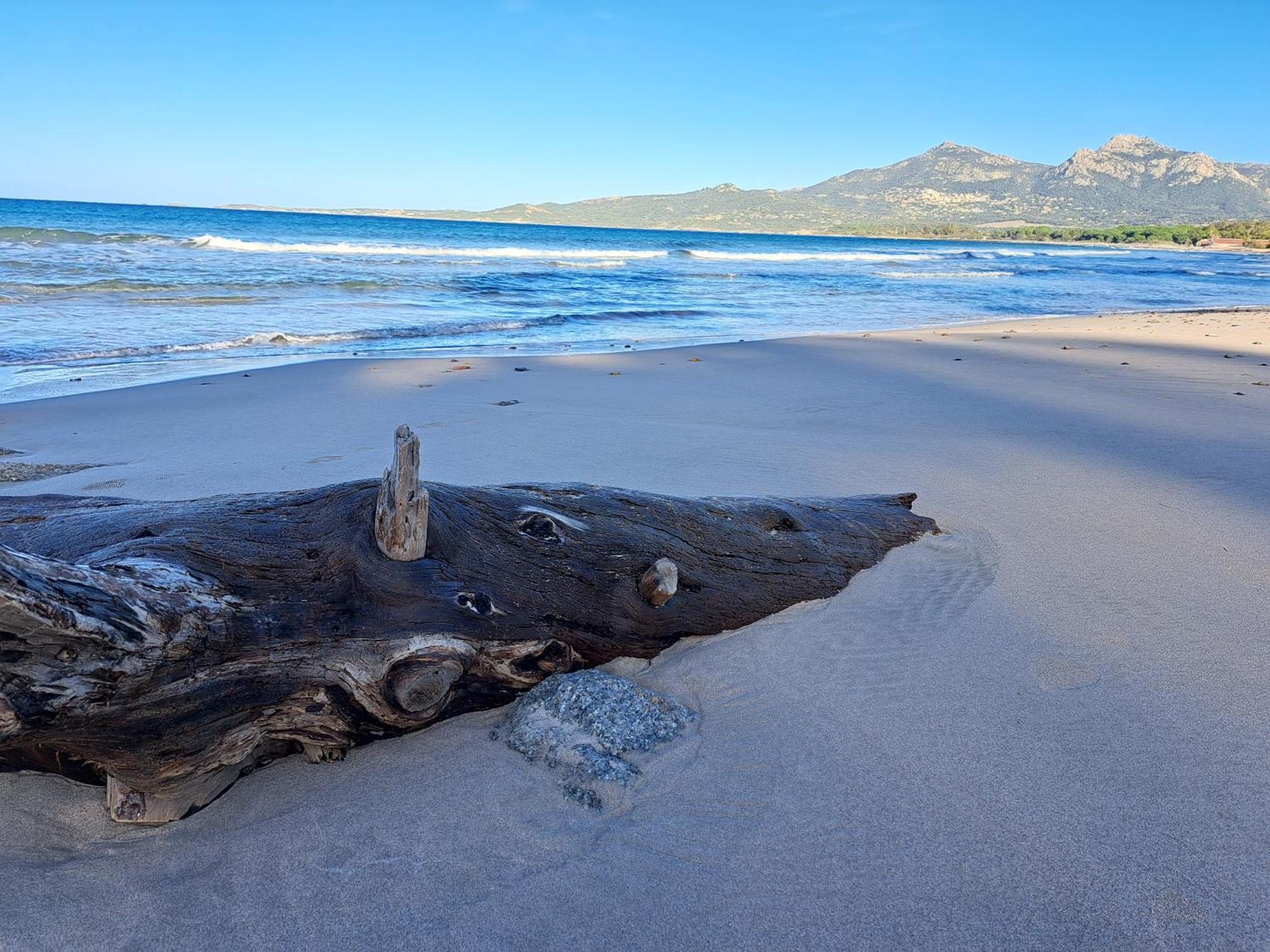 Farfalla Calvi  Exteriér fotografie